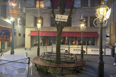 Fasnacht2024_3