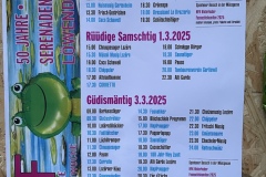 Fasnacht_2025_014