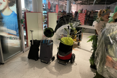 Fasnacht_2026_30.png